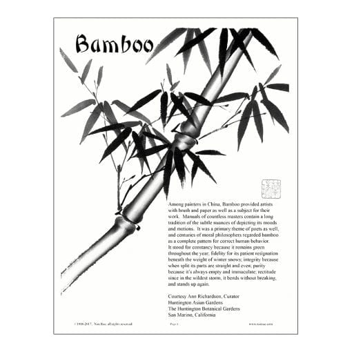 Bamboo Lesson by Nan Rae
