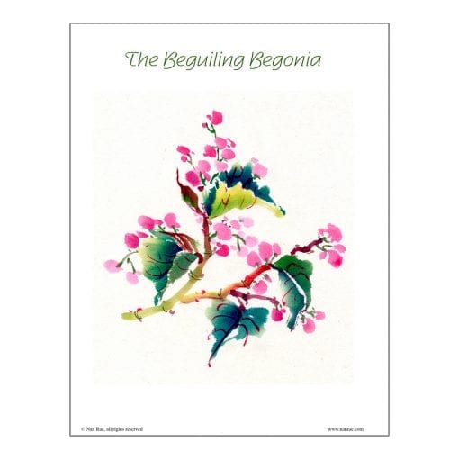 Begonia Brush Painting Lesson by Nan Rae