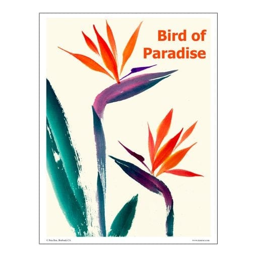 Bird of Paradise Brush Painting Lesson by Nan Rae