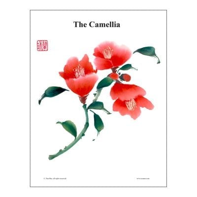 Camellia Brush Painting Class Lesson by Nan Rae