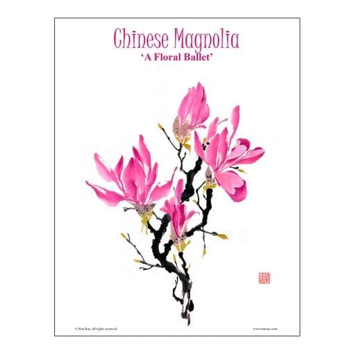 Chinese Magnolia Brush Painting Lesson by Nan Rae