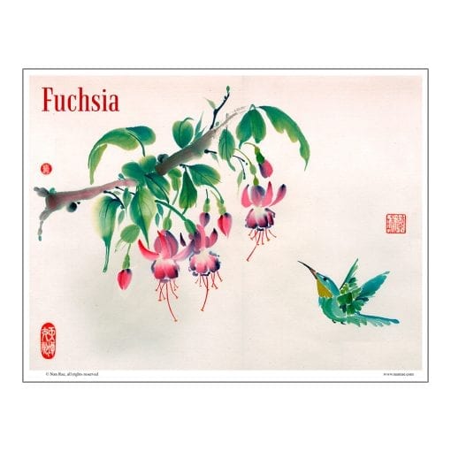 Fuchsia and Hummingbird Brush Painting Class Lesson by Nan Rae