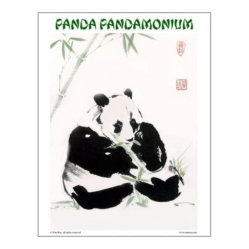 Panda Class Lesson by Nan Rae