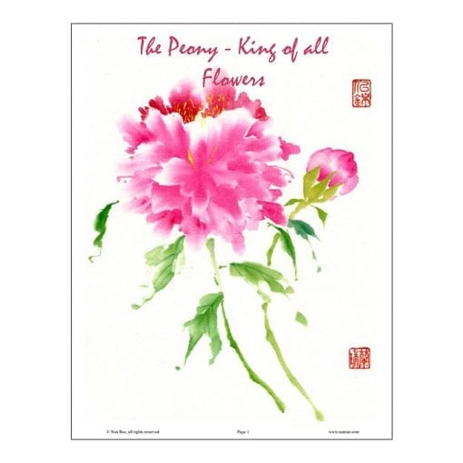 Peony Brush Painting Class Lesson by Nan Rae