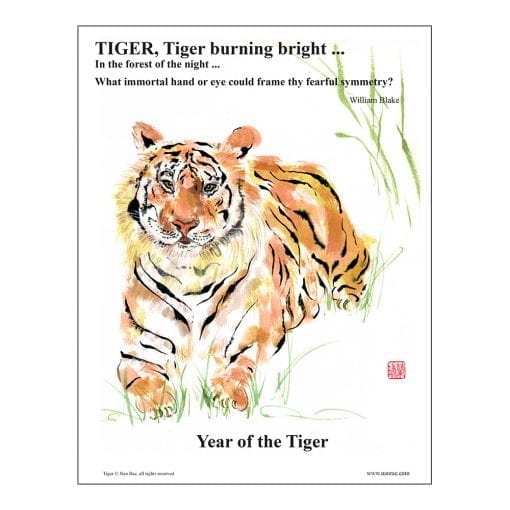 Tiger Class Lesson by Nan Rae