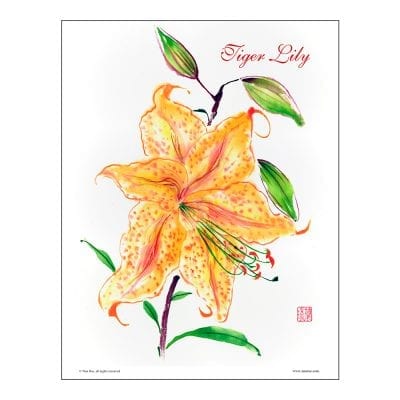 Tiger Lily Brush Painting Class Lesson by Nan Rae