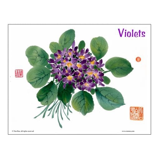 Violets Brush Painting Class Lesson by Nan Rae