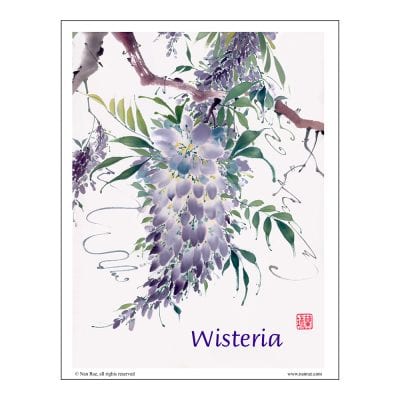 Wisteria Brush Painting Class Lesson by Nan Rae