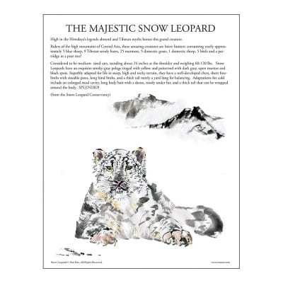 Snow Leopard Brush Painting Class Lesson by Nan Rae