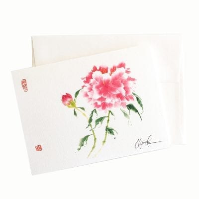 25-29 Schiaparelli Pink Card © Nan Rae
