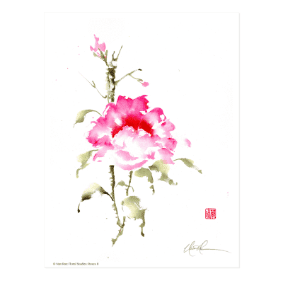 L2702 Floral Studies: Rose II Print © Nan Rae