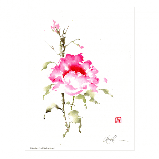 L2702 Floral Studies: Rose II Print © Nan Rae