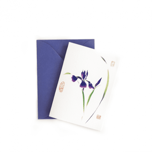 Japanese Iris Gift Enclosure © Nan Rae