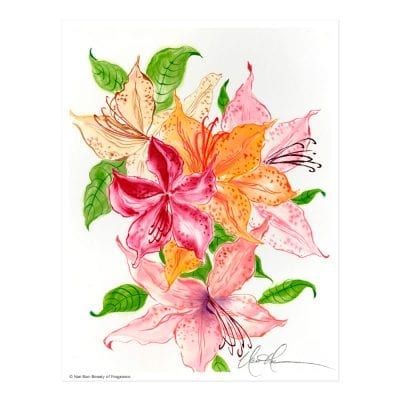 Beauty of Fragrance Print by Nan Rae