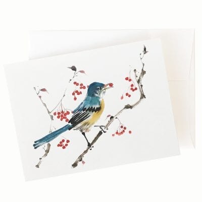 Rich Pickings (Bird and Christmas Berries) Card by Nan Rae