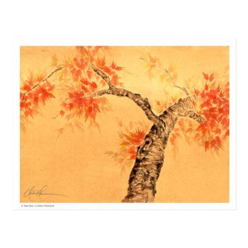Golden Moment (Japanese Maple Tree) Print by Nan Rae
