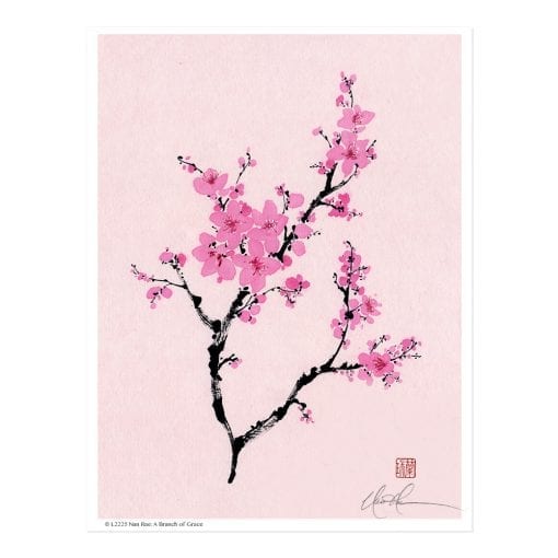 Plum Blossom Print by Nan Rae