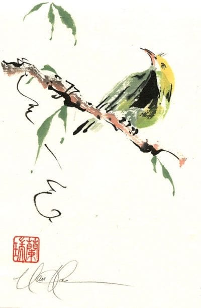 Bird painting by Nan Rae