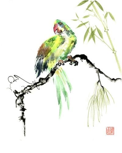 Original Bird painting by Nan Rae