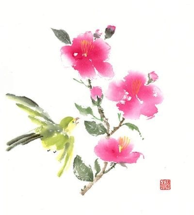 Original Bird with Camellias painting by Nan Rae