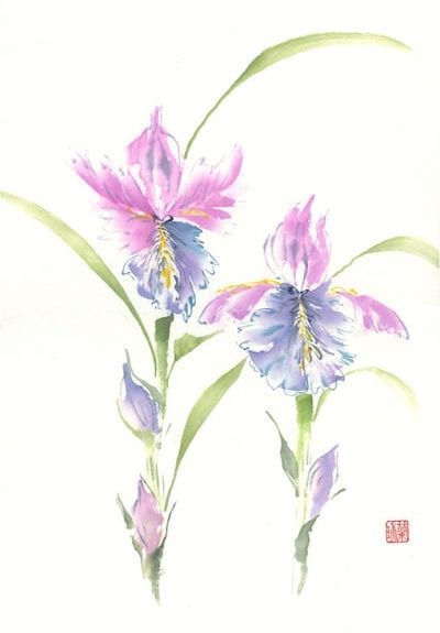 Original Bearded Iris painting by Nan Rae