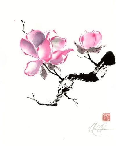 Chinese Magnolia painting by Nan Rae
