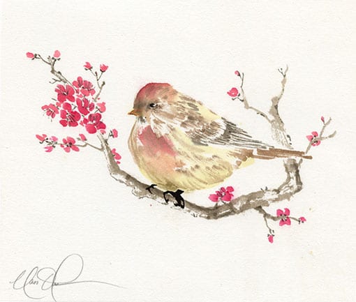 Bird on Cherry Blossoms branch painting by Nan Rae