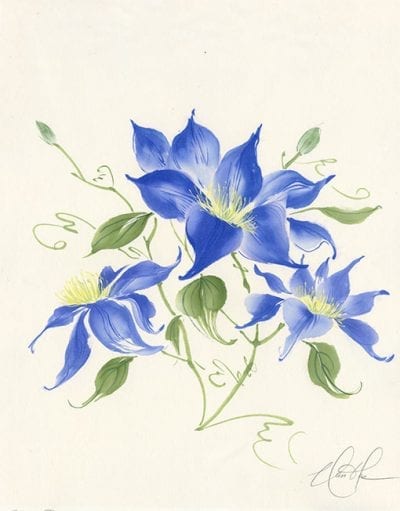 Clematis painting by Nan Rae