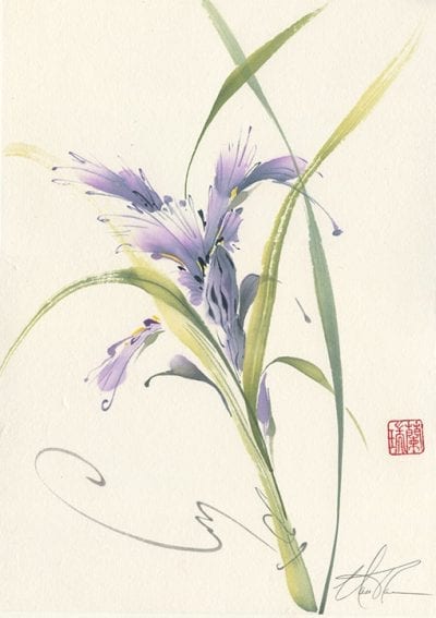 Bearded Iris painting