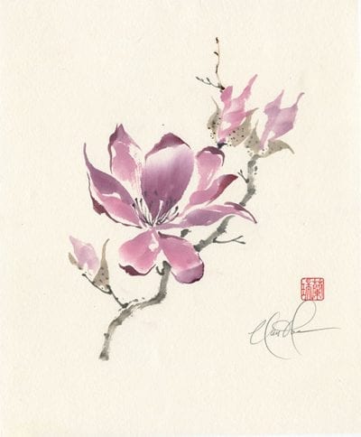 Chinese Magnolia painting by Nan Rae