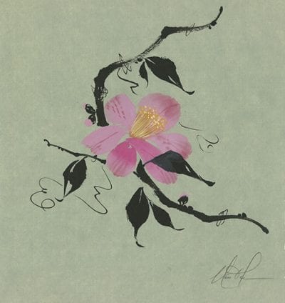 Camellia painting