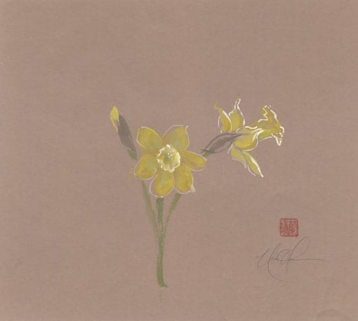 daffodil painting