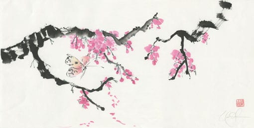 cherry blossom and butterfly