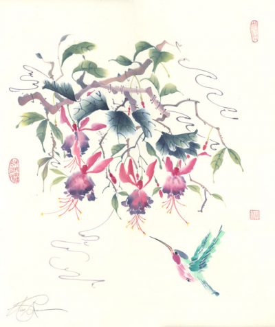 Hummingbird and Fuchsia