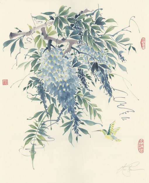 wisteria and hummingbird