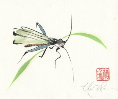 Insect Painting